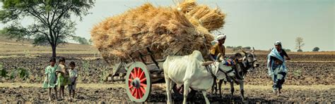 Farmers
