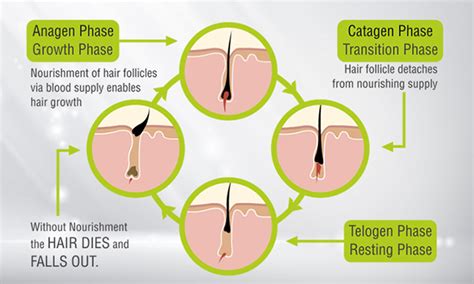 Adroit : Blog Archive