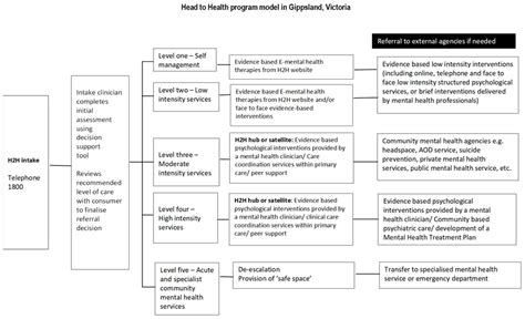 IJERPH | Free Full-Text | Clinicians’ and Users’ Views and Experiences ...