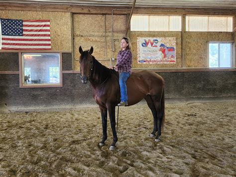 DIME PIECE · Copper Horse Crusade