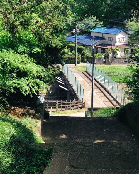 Small Bridge 的图像结果