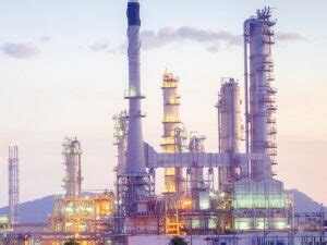 Software Dynamic Process Simulation 的图像结果