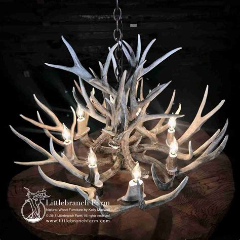 Mule Deer Antler Chandelier at Stephanie Fleming blog