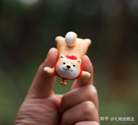 带什么礼物给狗狗最新素材