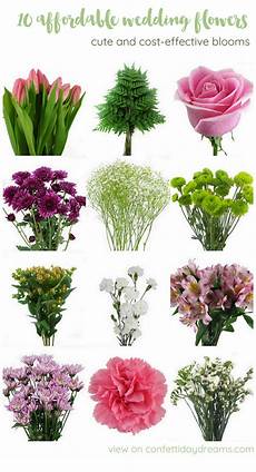 Wedding Budget Flowers by The Most Affordable Types Of Wedding Flowers On A Budget Wedding Budget Flowers