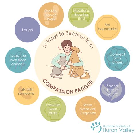 10 Ways to Combat Compassion Fatigue - HSHV