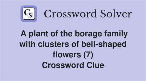 A plant of the borage family with clusters of bell-shaped flowers (7 ...