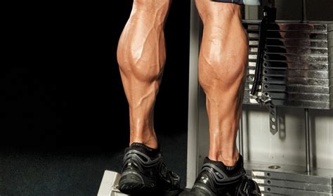 6 Effective Yoga Poses To Treat Stiff Calf Muscles - lifeberrys.com