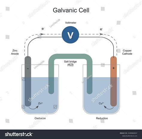 Electrochemical Galvanic Cell at Richard Sayles blog