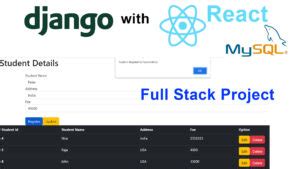 Image result for Full-Stack Projects Using Django