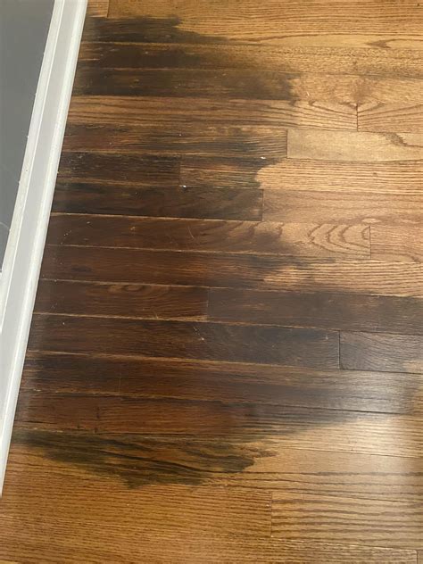 Water Damage Hardwood Floor DIY - Possible? Or need a professional? : r ...