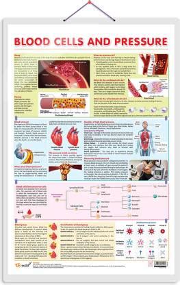 BLOOD CELLS AND PRESSURE CHART | Unraveling Blood Cells and Pressure ...