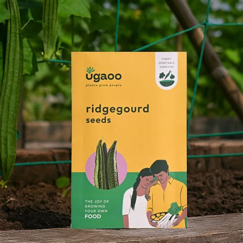 Ridge Gourd Seeds – Ugaoo