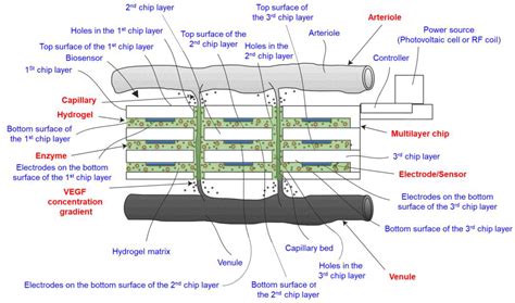 Patent Overview of Innovative Hyaluronic Acid-Based Hydrogel Biosensors
