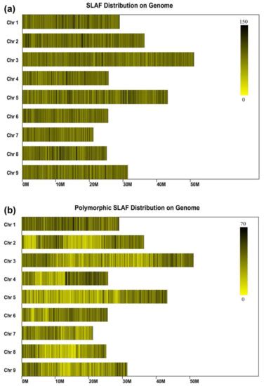 High-Density Genetic Map Construction and Identification of QTLs ...