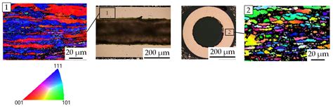 Material Deformation Behavior in T-Shape Hydroforming of Metal Microtubes