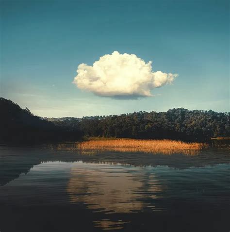 Image result for Recruiting Database Software Comparison