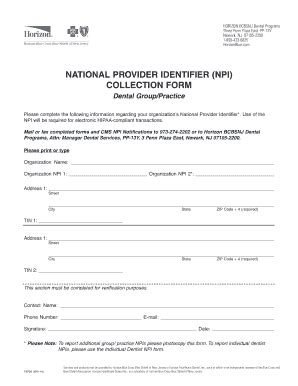Fillable Online NATIONAL PROVIDER IDENTIFIER NPI COLLECTION FORM Fax ...