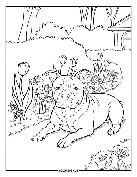 100+ Pitbull Coloring Pages for Kids & Adults (Free Printable PDFs)