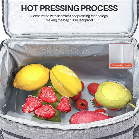 Buy AstroAI Lunch Box Cooler Bag 24 Can/15L Online at Lowest Price in ...