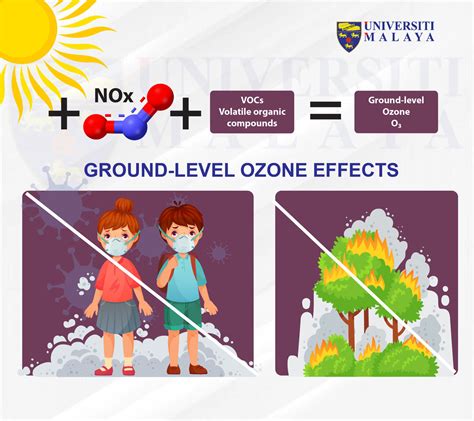 Articole despre poluare, soluții și sănătate