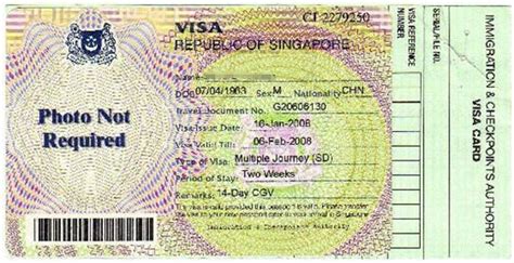 辦理新加坡留學簽證需申請的材料 - 每日頭條