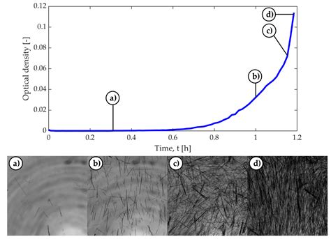 A Novel Shadowgraphic Inline Measurement Technique for Image-Based ...