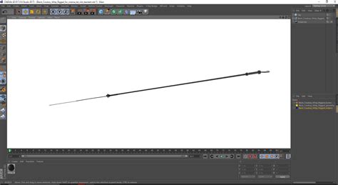3D Black Cowboy Whip Rigged for Cinema 4D model | 3D Molier International
