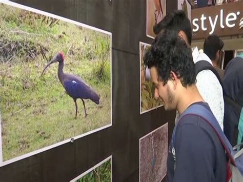 Photography exhibition as part of North Bengal Bird Festival begins in ...