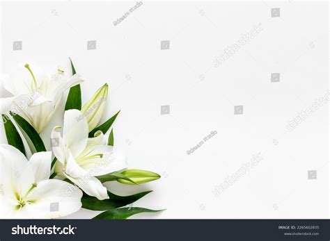 4,572 Mourning Fresh Images, Stock Photos & Vectors | Shutterstock