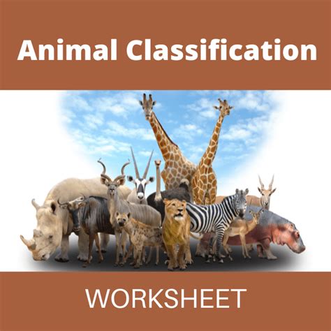 Animal Classification Worksheet 的图像结果