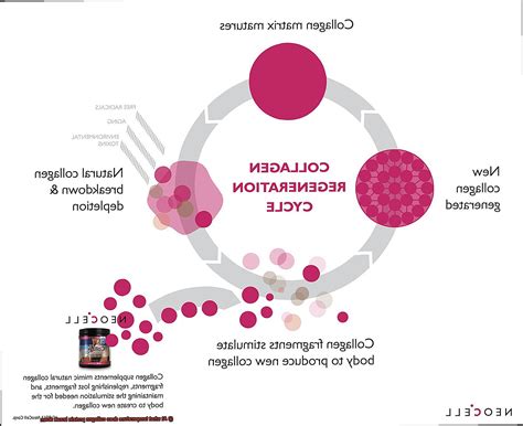 At what temperature does collagen protein break down? - Pastime Bar And ...
