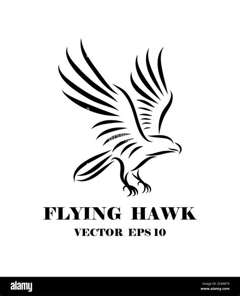 Flying Hawk Logo 151 Hawk Logo High Res Illustrations Getty Images