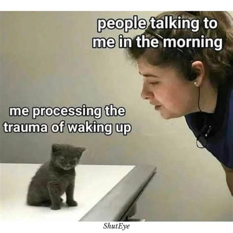30+ Funny Waking Up Memes That Brighten Your Day - ShutEye