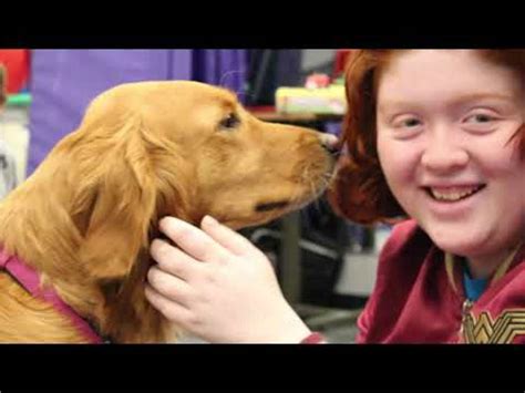 Board Certified Behavior Analyst (Surprise, Az) #0044 job at Team 4 ...