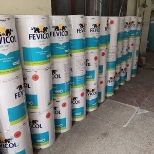 Pidilite FEVICOL SR 505 SYNTHETIC RUBBER ADHESIVE Adhesive Adhesive ...