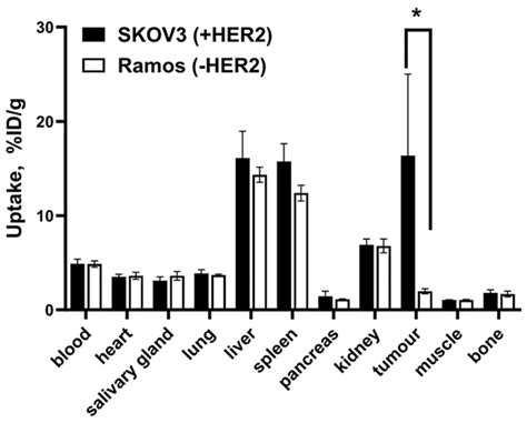 Preclinical Evaluation of HER2-Targeting DARPin G3: Impact of Albumin ...