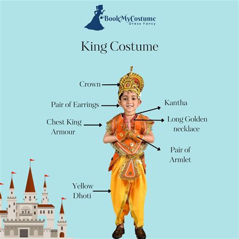 Buy and Rent Indian King Raja Historical Fancy Dress Costume Online ...