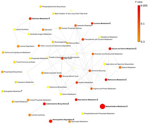 Seasonal Changes in Serum Metabolites in Multiple Sclerosis Relapse