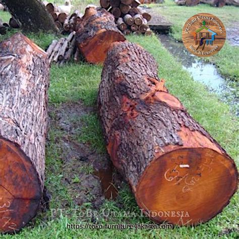 Is Mahogany Wood Endangered at Aron Desrochers blog