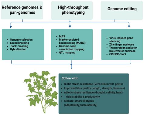 Integrative Genomics and Precision Breeding for Stress-Resilient Cotton ...