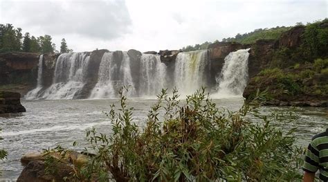 HUTS AND HUNTERS RESORT SAPUTARA (Gujarat) - Campground Reviews, Photos ...