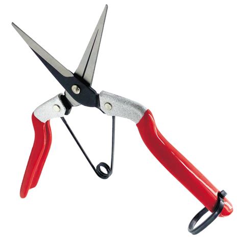 Mifuse Long Straight Snip Gardening Hand Pruners with Sap Grove Blade ...