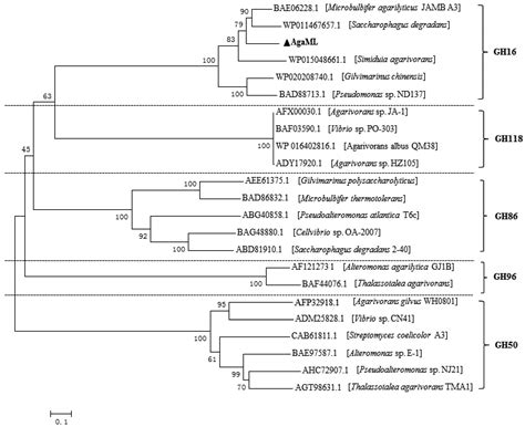 Isolation and Characterization of a Glycosyl Hydrolase Family 16 β ...