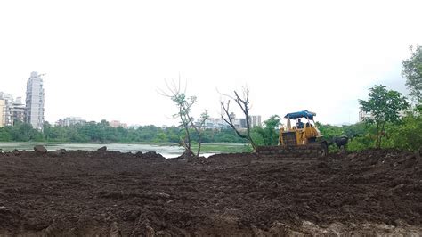 Maharashtra Environment Dept Confirms Lotus Lake In Nerul As Wetland ...