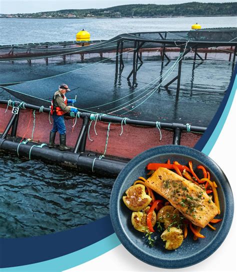 Aquaculture 的图像结果