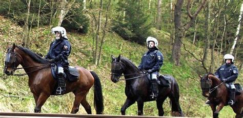 突击步枪、骑警、超跑警车，奥地利警察全新亮相！