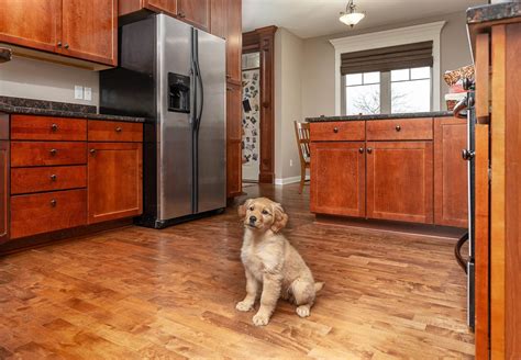 Healthier Choice Hardwood Flooring at Jarred Moen blog