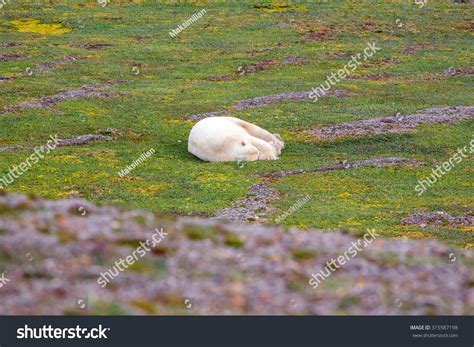 1 Kara Killer Royalty-Free Images, Stock Photos & Pictures | Shutterstock