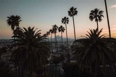 Amazing view from Lincoln Heights : r/LosAngeles